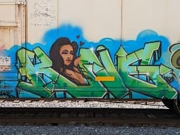 avator