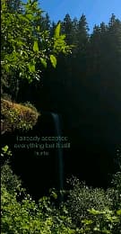 avator
