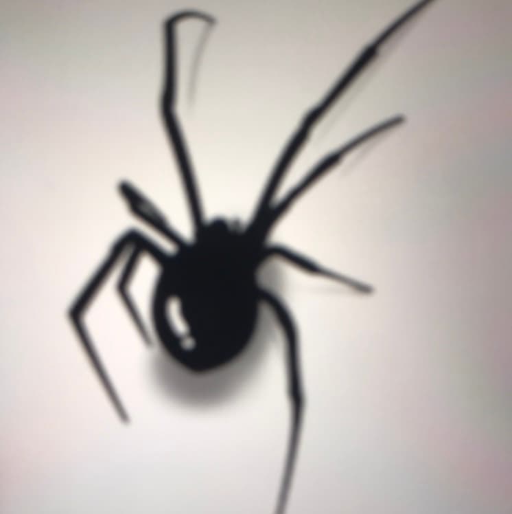 avator
