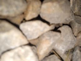 avator