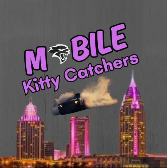 Avatar for mobilekittycatchers