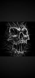 avator