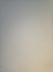 avator