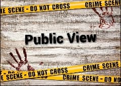 Avatar for Public View