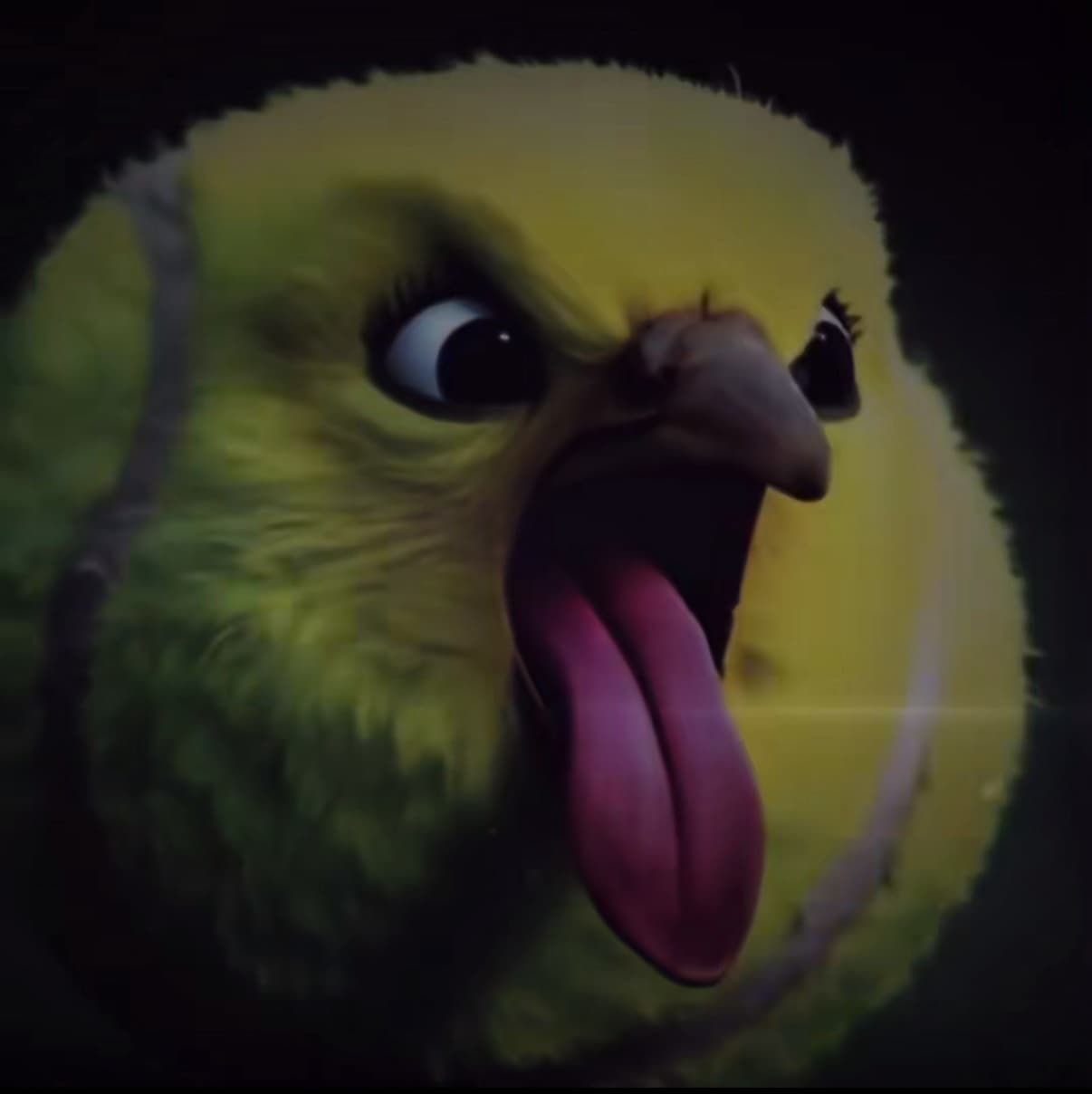 avator