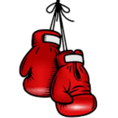 Avatar for Fights for days