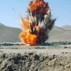 avator