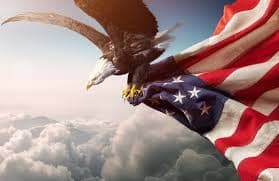 Avatar for Patriots 🦅