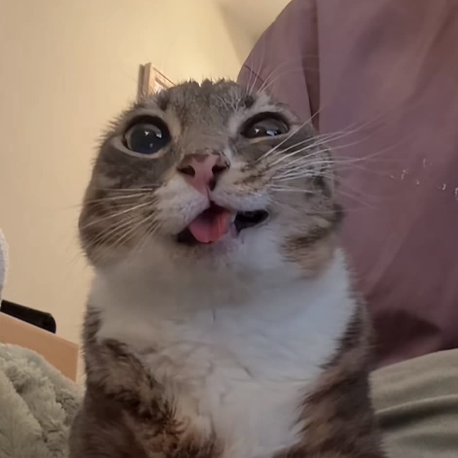 avator