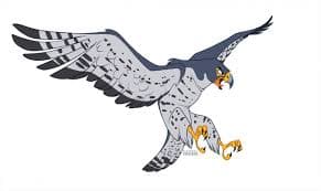 avator
