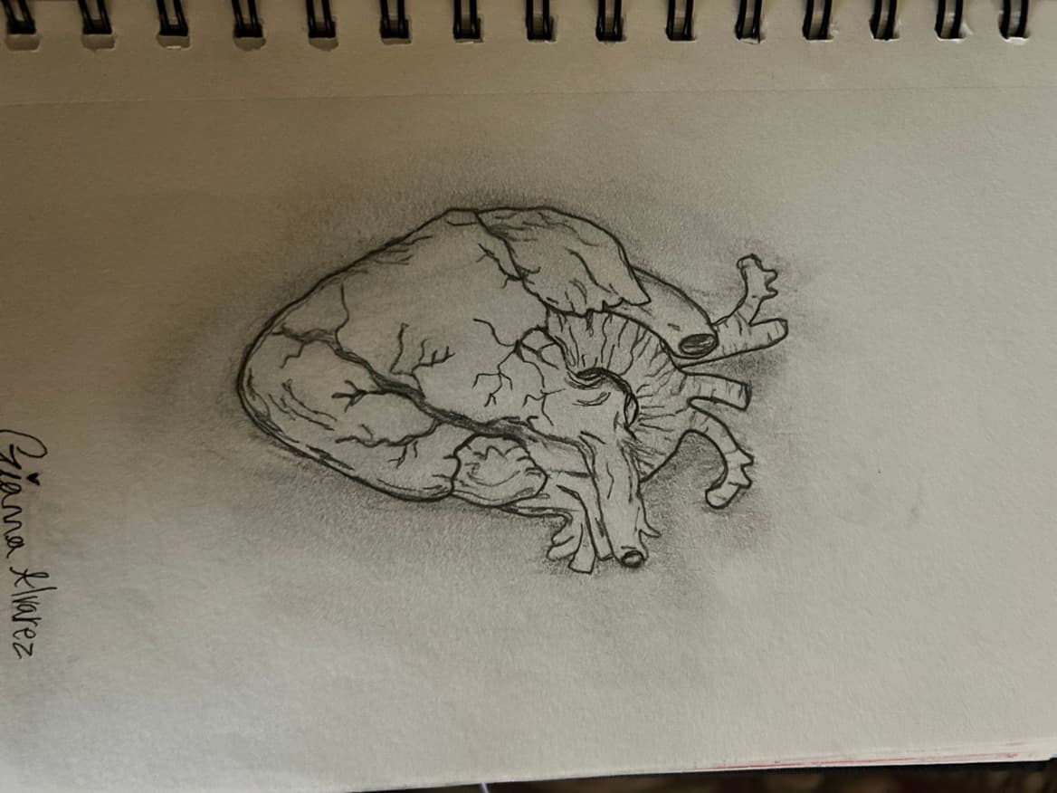 avator