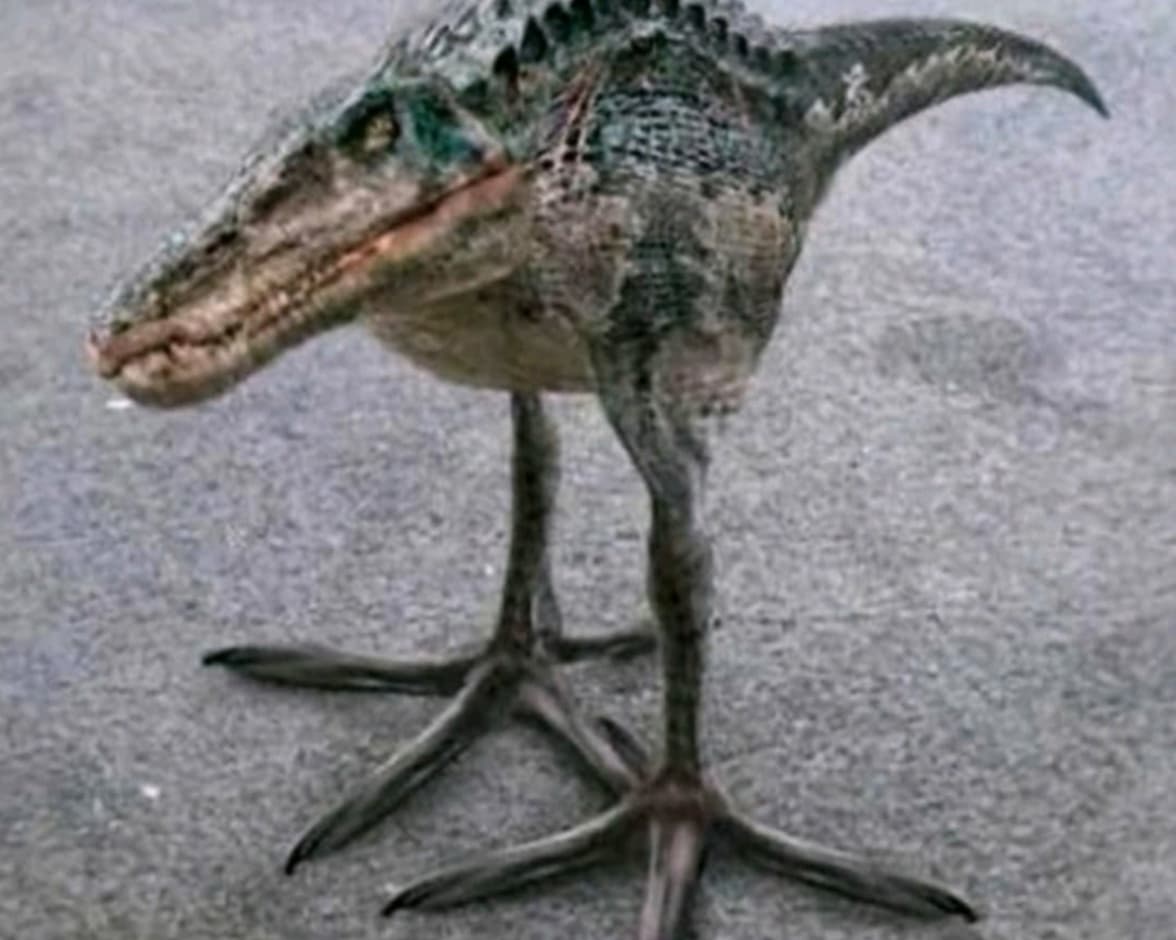 avator