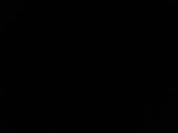 avator
