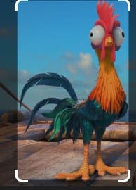 avator