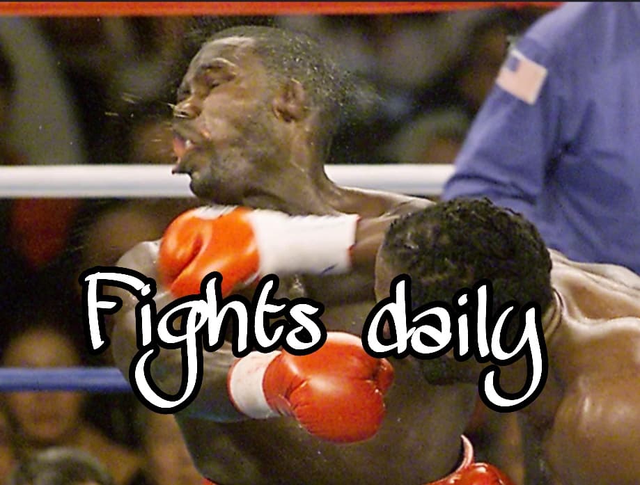Avatar for Fights daily
