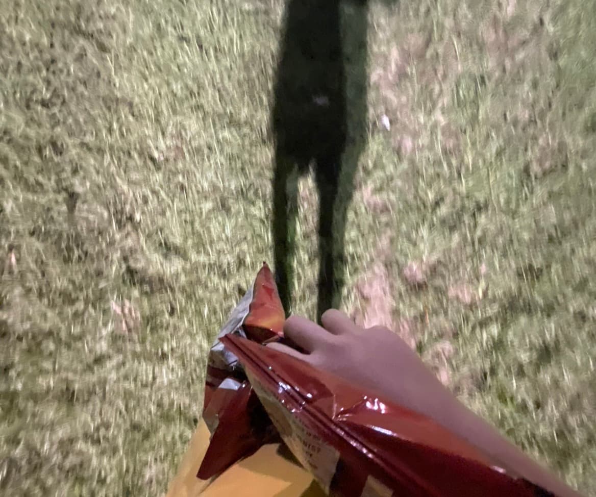 avator