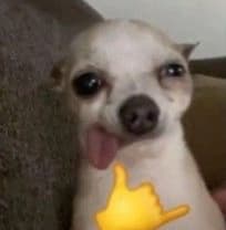 avator