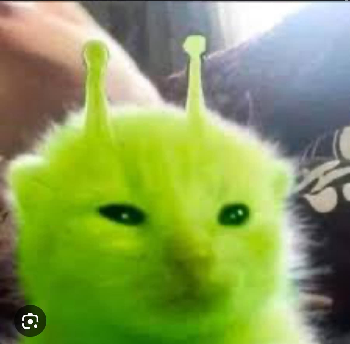 avator