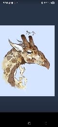 avator