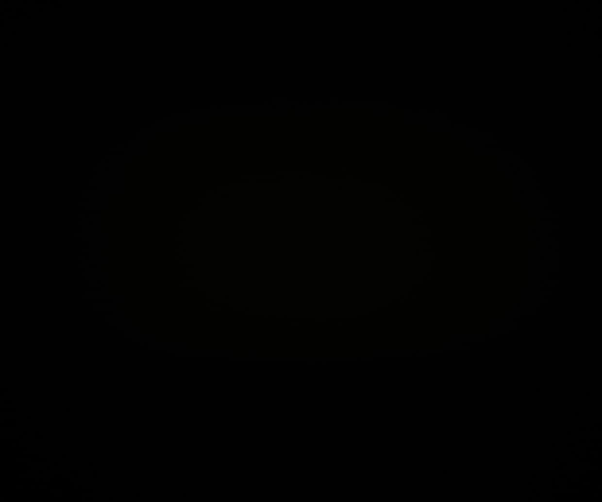 avator