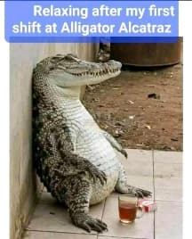 avator