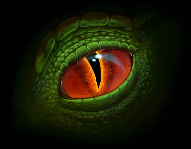 avator