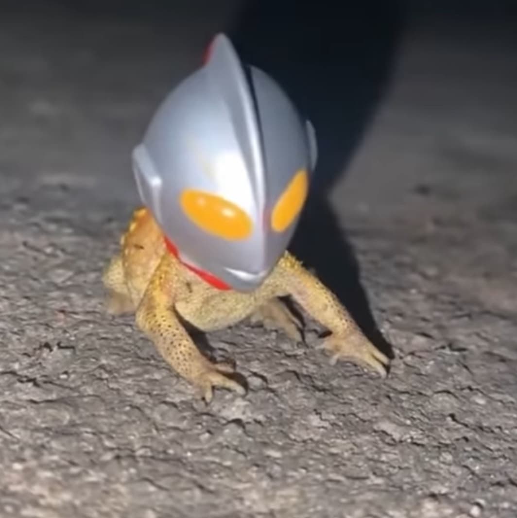 avator