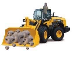 avator