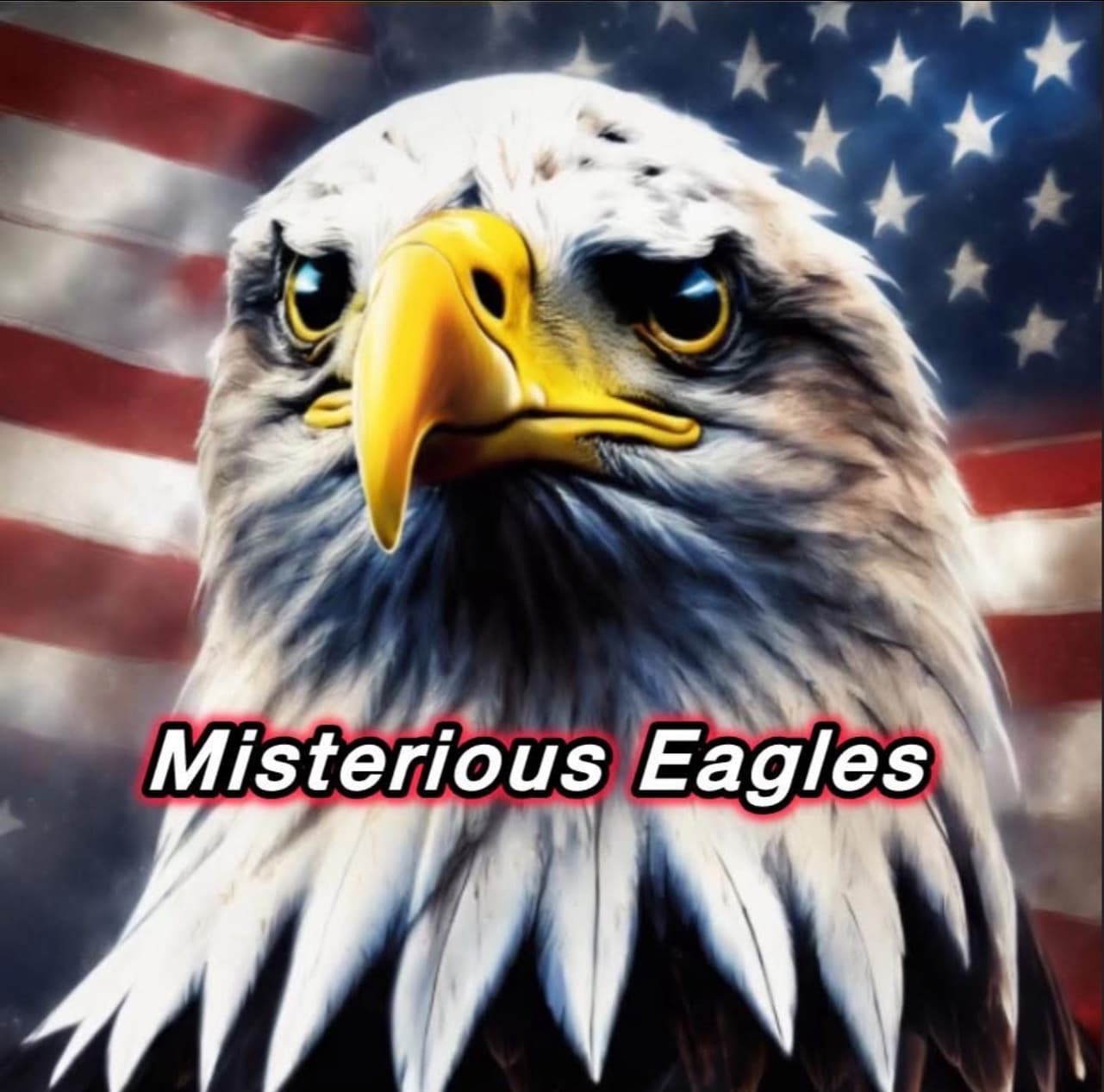 Avatar for Misterious Eagles