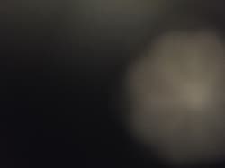 avator