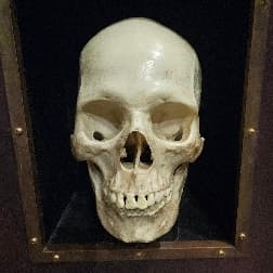 avator