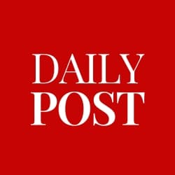 Avatar for Daily Post 