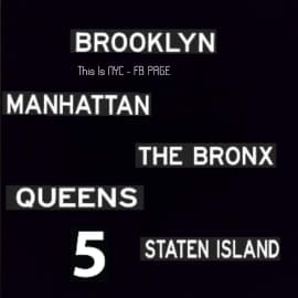 Avatar for This is NYC