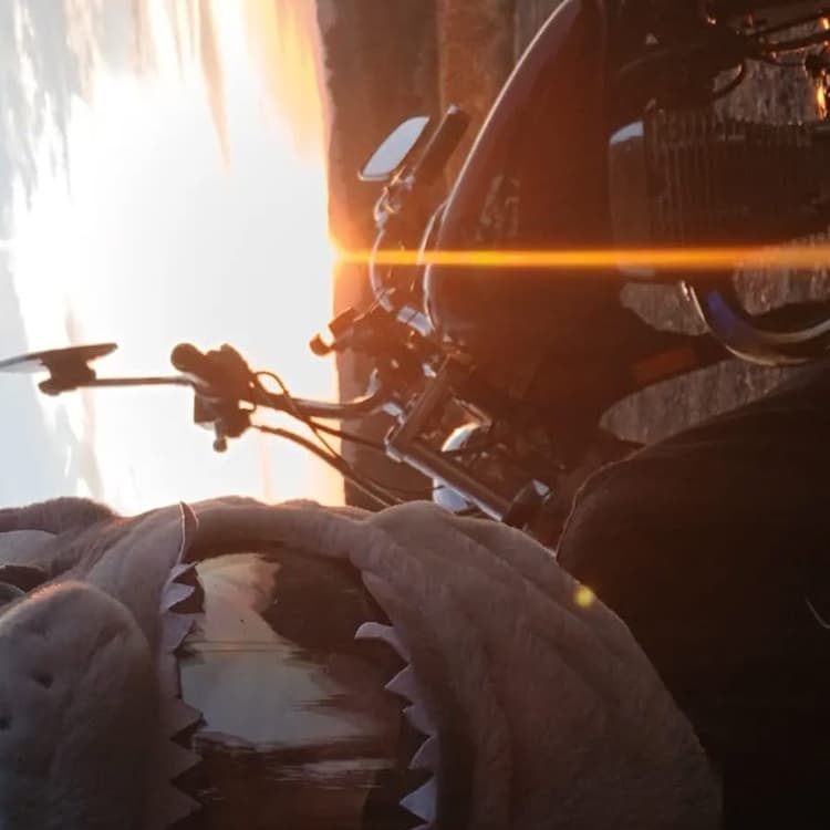 avator