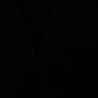 avator