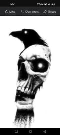 avator