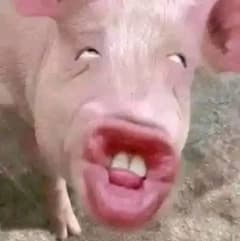 avator