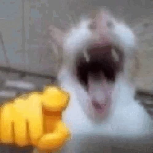 avator