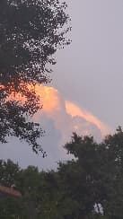 avator