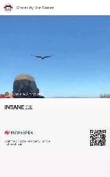 avator