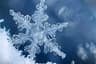 Avatar of Frost