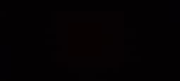 avator