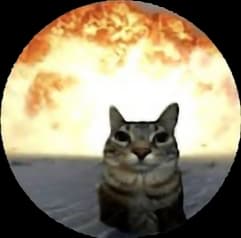 avator