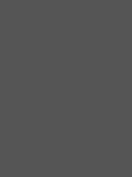 Avatar for Brun Thai