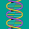 avator