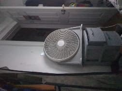 avator