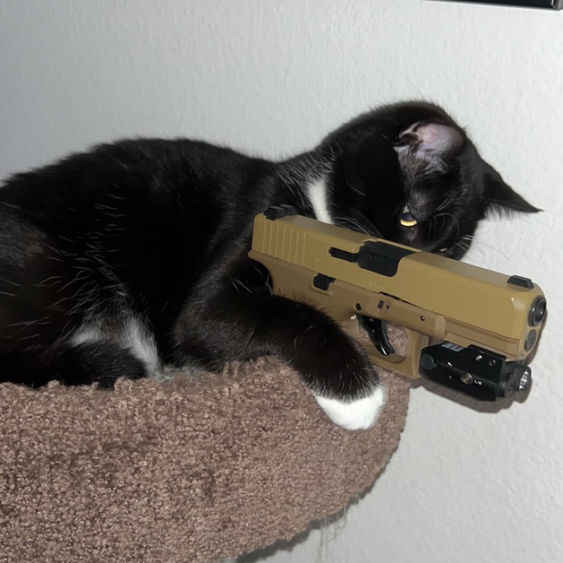 avator