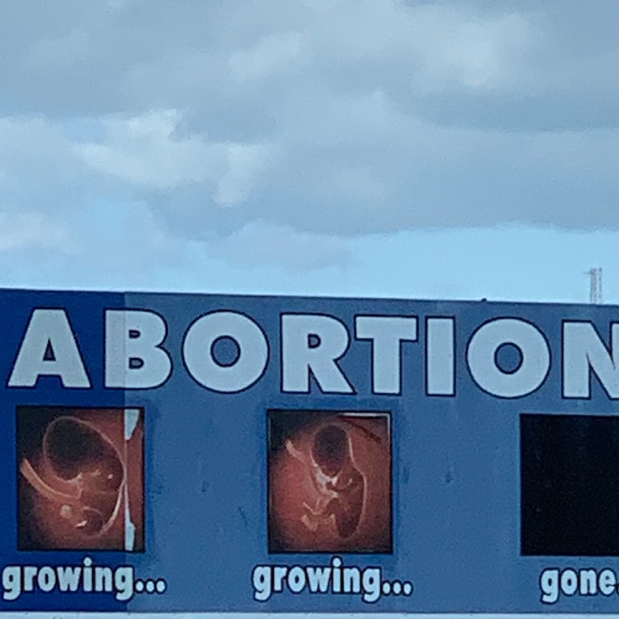 avator