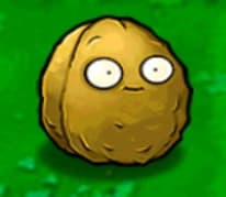 avator