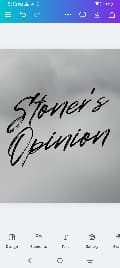 Avatar for Stoner's Opinion 